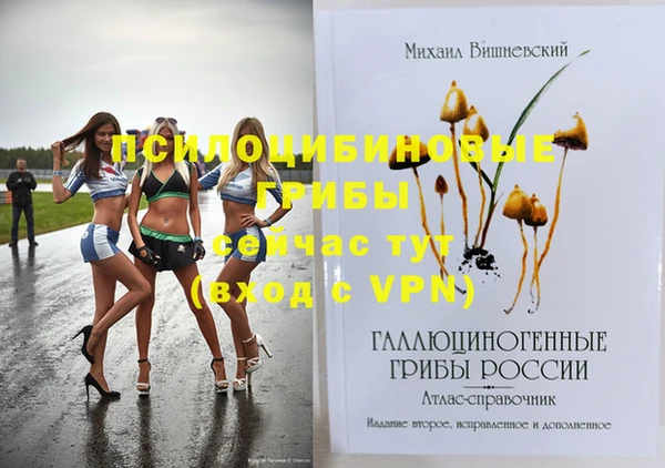 соль ск Нефтекумск