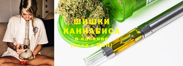 крисы Бугульма